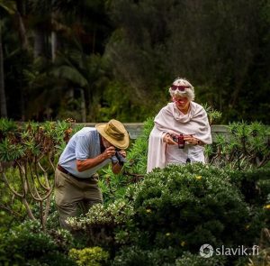 Valokuvattavaa Jardin Canariossa