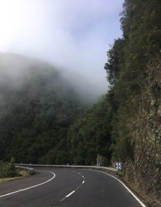 La Palma itäosa